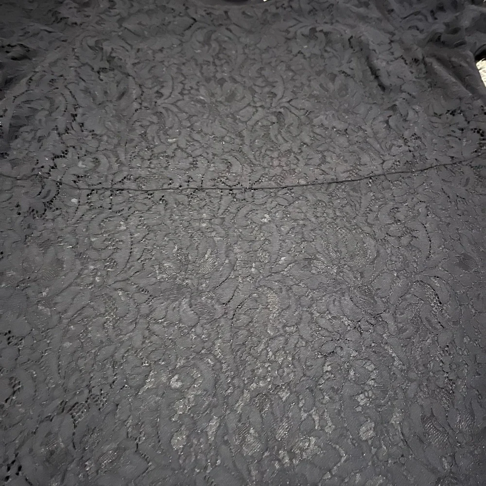 Isaac Mizrahi Elegant‎ Black Lace Dress size 2xl - Picture 2 of 6